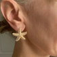 Gold starfish studs