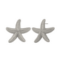 NEW Silver starfish studs - limited edition